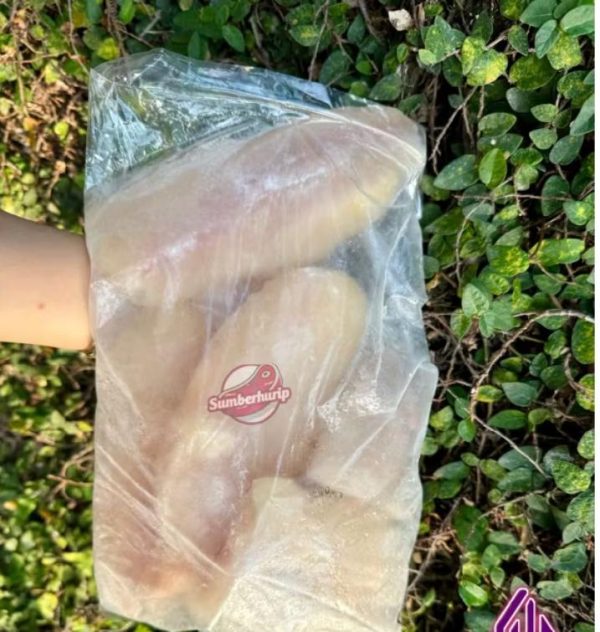 Ikan dori filet 1 kg fresh dan berkualitas