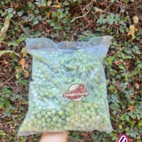 Kacang polong 1kg murah, segar, dan berkualitas