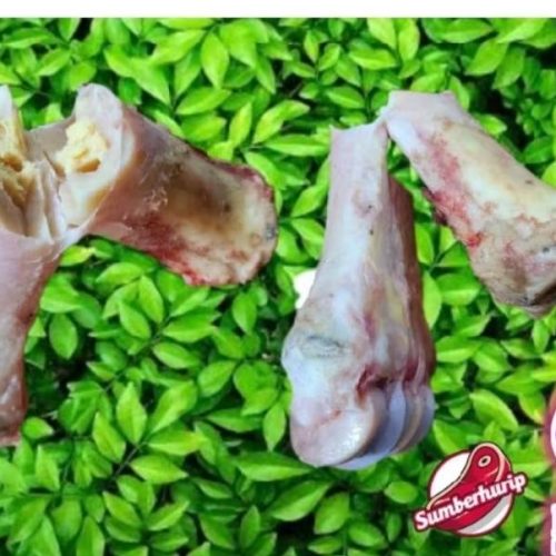 Tulang susum sapi 1 pcs fresh and premium
